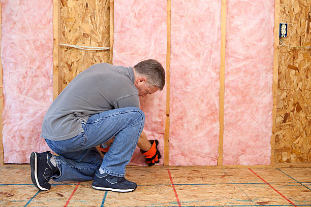 Best Attic Insulation Installation  in Onancock, VA